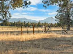 Holmes Rd. Cabin - Image 5